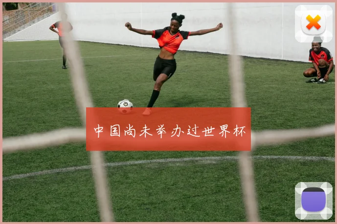 中国尚未举办过世界杯